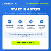 LIFEWORTH - Cápsulas de Quercetina y Ortiga de Marca Privada, Complejo de 500 mg, Suplemento Antioxidante para la Salud de la Próstata, 90 Cápsulas, OEM, ODM