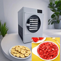 Machine de lyophilisation électrique automatique pour la conservation des aliments à la maison et en cuisine