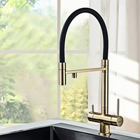 Robinet de cuisine en or brossé, eau chaude et froide, double bec, mitigeur d'eau potable pure, 3 trous, rotation, robinets de purification d'eau