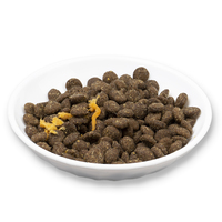 Aliments d'usine pour animaux de compagnie à basse température cuits au four aliments secs rôtis pour chiens aliments pour chats OEM