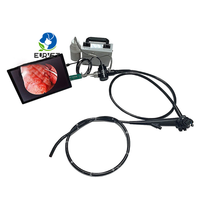 EUR VET High Quality Veterinary Equipment Gastrointestinal Endoscopies in Dogs Pet Disease Detection