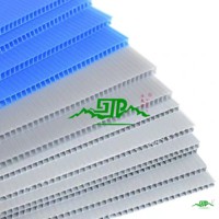 Gloednieuwe Zwarte Pp Voor Holle Bord Partitie 2Mm Dikke Anti-Statische Vlamvertragende Plastic Recyclebare Custom Snijservice