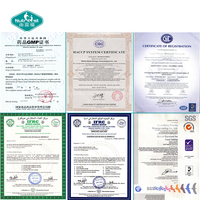 Tabletas de Fistein Nutrifirst OEM, Extracto de Fruta de Oliva y Albahaca Sagrada, Salud Celular, Fistein Mitocondrial