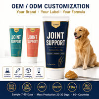 Pâte Nutritionnelle Premium pour Articulations Canines – Glucosamine, Chondroïtine, Curcuma, Collagène – Tout-en-un pour la Mobilité – OEM