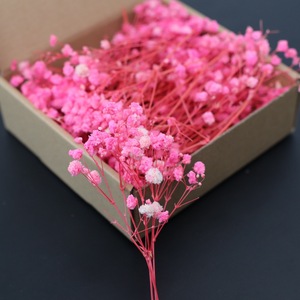 <span class=keywords><strong>Flores</strong></span> de Gypsophila Preservadas 50g Venta <span class=keywords><strong>al</strong></span> <span class=keywords><strong>por</strong></span> <span class=keywords><strong>Mayor</strong></span> de Fábrica <span class=keywords><strong>Flores</strong></span> <span class=keywords><strong>Secas</strong></span> Naturales Ramo de <span class=keywords><strong>Flores</strong></span> de Aliento de Bebé - Product Image 6