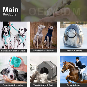 Lüks evcil hayvan taşıyıcı seyahat ürün sırt çantası Sling yumuşak kafes havayolu onaylı motosiklet plastik diğer çanta ile tekerlekler için köpek kedi - Product Image 5