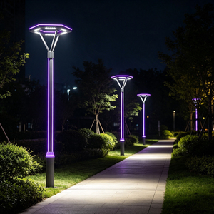 Lampe <span class=keywords><strong>solaire</strong></span> LED de cour de haute qualité, finition personnalisée, poteau en aluminium, approvisionnement en matériaux - Product Image 1