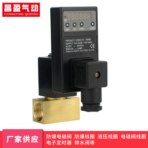 วาล์วระบายน้ำอิเล็กทรอนิกส์ Changying 220V AC แบบ Pilot Structure รองรับน้ำ ใช้ได้กับ OEM - Product Image 4
