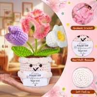 Jolies fleurs de carnation au crochet faites à la main, 3 fleurs dans un pot, cadeaux de remerciement pour la fête des enseignants, cadeaux tricotés pour la remise des diplômes, anniversaire, retraite
