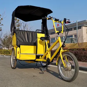 Пассажирский трехколесный велосипед, Солнечный Электрический велосипед-рикша, распродажа