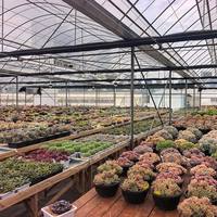 Décoration d'intérieur, plantes artificielles en pot, plantes d'intérieur, pots de plantes, simulation de succulentes, bonsaï pour décoration de bureau