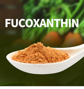Chiết Xuất Bladderwrack Tự Nhiên Tinh Khiết 5%-85% Fucoxanthin - Product Image 2