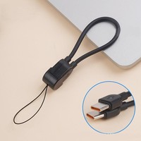 Kabel Pengisi Daya USB C Keychain 60W 16cm Pengisian Cepat Sinkronisasi Data untuk Ponsel Power Bank Speaker Laptop Berbagai Warna OEM Diterima