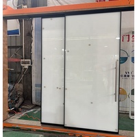 Porte coulissante en verre sur mesure, verre ultra givré blanc, poignée de type H assortie, porte de toilette pour l'intimité, zone publique de la clinique