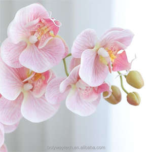 Orchidée Orchidée Résine Guirlande Plantes Fleurs Artificielles <span class=keywords><strong>D</strong></span>écoratives Silicone PU pour la Saint-Valentin Thanksgiving Fête Des Mères - Product Image 4