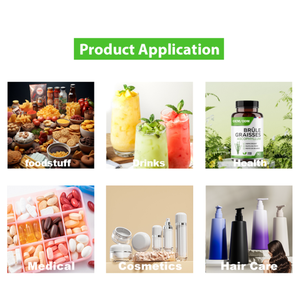 Экстракт корня женьшеня 5% 80%, Высококачественная энергетическая добавка - Product Image 3