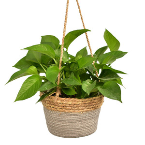 Cesta de Almacenamiento Tejida de Paja Sintética, Decorativa, Tipo Mimbre, para Macetas, al Precio Más Bajo de Fábrica - Product Image 1