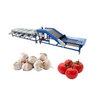 Automatische Gailic sorteermachine, knoflook sorteermachine, groente- en fruit sorteermachine, tomaten sorteermachine