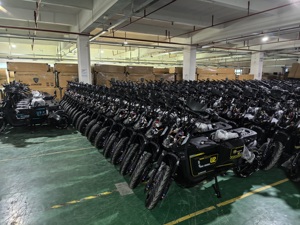 Moto électrique NIU <span class=keywords><strong>U2</strong></span> modifiée sur mesure, haute vitesse, tout-terrain, pour le marché russe - Product Image 6