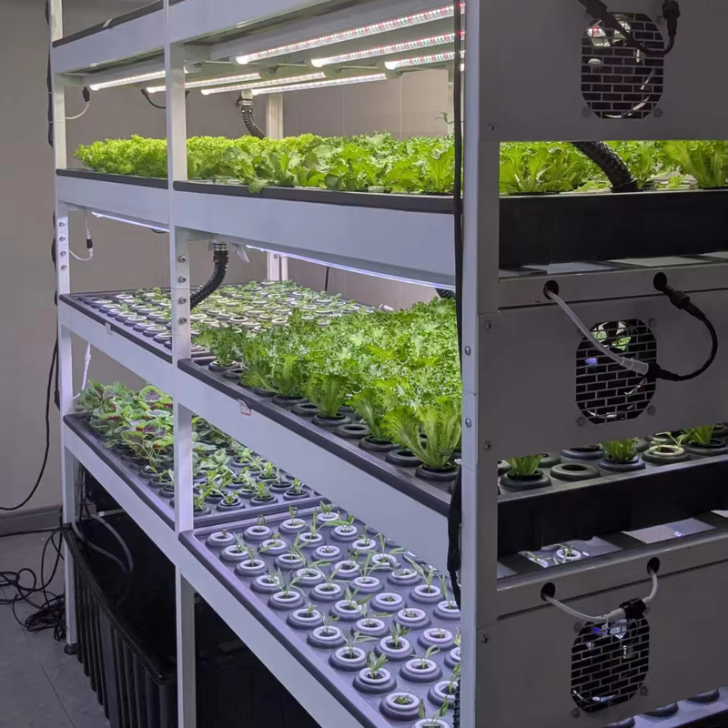 Mobile Smart Cultivation Container Fully Automated