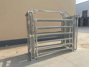 पोर्टेबल जस्ती भारी ड्यूटी पोर्टेबल मवेशी कुचलने पैमाने - Product Image 5