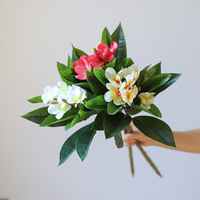 Bunga Plumeria Frangipani Buatan Tangan Premium Sentuhan Asli Eropa Tangkai Panjang 62cm Laris Manis untuk Dekorasi Rumah dan Pernikahan