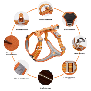 Pettorina per Cani in Nylon Resistente, Riflettente, con Chiusura a Doppia Fibbia, per Uso Esterno, Taglia Grande - Product Image 2