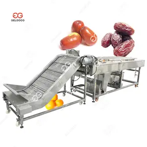 Gelgoog Factory Red Dates Washing Processing Line Automatic Red Palm Dates Sorting And Dry Cleaning Machine