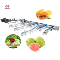 Industriële elektrische guave- en papaja-sorteerlijn met weegfunctie en sorteermachine voor fruit en cactusvijgen