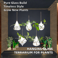 Terrarium en verre classique pour plantes, idéal pour la propagation hydroponique suspendue, décoration de jardin et de mariage