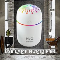 Diffuseur d'huiles essentielles portable mini pour voiture et maison, humidificateur à brume froide avec impulsion, anti-fumée, anti-poussière, USB