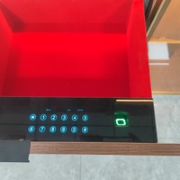 RMS W229 Wardrobe Fittings Cabinet Concealed Safe Box Password Fingerprint Steel Electronic Digital Lock 500mm/600mm Size