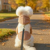 37 Designs – Nouvelle collection de vêtements chauds pour chiens et chats en polaire d'agneau, style coréen, pour l'hiver et l'automne