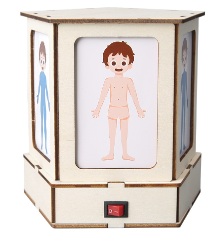 T-M317, lumière de perspective de corps humain