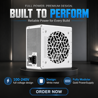 Thermalright 850W 80 Plus Gold Sertifikalı TR-GM850-W ATX 31 Tam Modüler PSU Masaüstü Güç Kaynağı Stokta