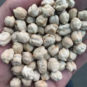 Wholesale Price 25kg 50kg 500g Package 7mm - 9mm Dried Kabuli Garbanzo Beans Chick Pea Chickpeas