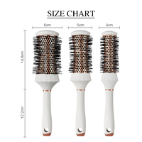 Ensemble de brosses à cheveux rondes résistantes à la chaleur Kit de séchage professionnel pour salon de coiffure ensembles de cadeaux de beauté pour femmes