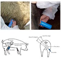 Échographe vétérinaire portable professionnel, détecteur de gestation pour porcs et moutons, sonde étanche portative pour ferme