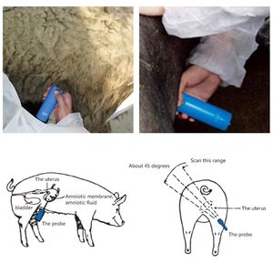 Escáner de Ultrasonido Portátil Veterinario Profesional, <span class=keywords><strong>Detector</strong></span> de Gestación para Cerdos y Ovejas, Sonda Impermeable de Mano para Granja - Product Image 3