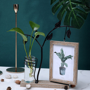 NUEVO Marco de Fotos 4x6 con Soporte Metálico para Plantas en Maceta, Marcos de Fotos de Escritorio con Florero Decorativo, Exhibición de Doble Cara - Product Image 6