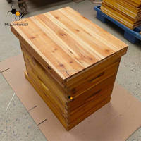 Ruche en bois de sapin/cèdre indien de type 2, enduite de cire, avec une épaisseur de 2,0 cm et fond grillagé, équipement d'apiculture