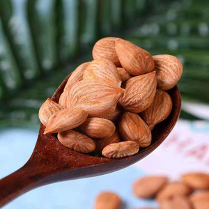 Noyaux d'<span class=keywords><strong>abricot</strong></span> entiers, amandes amères séchées, prix avantageux, emballage en vrac à vendre - Product Image 4