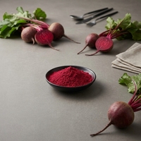 Extrait de Betterave Colorant Alimentaire Pigment Casher Naturel 100% 231-628-5 Vente en Gros Extrait Rouge de Betterave Couleur Rouge CAS 7659-95-2 En Vrac