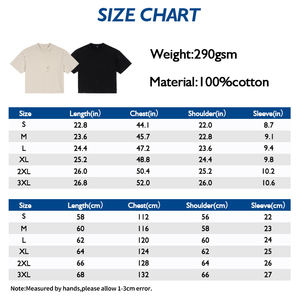 Camiseta de manga corta de algodón 100% personalizada cuello redondo Casual alta calidad transpirable Regular Fit hombres mujeres sólido - Product Image 5