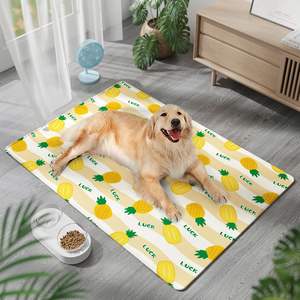 Alfombra refrescante de seda helada para mascotas, rectangular, 45x60cm, 50x70cm, 65x90cm, 85x120cm, para perros, cama de verano, cojín con diseño de frutas. - Product Image 2