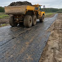 Dalles de protection de sol industrielles en PEHD recyclé 4x8 pieds pour camions, aménagement paysager, événements et protection de pelouses