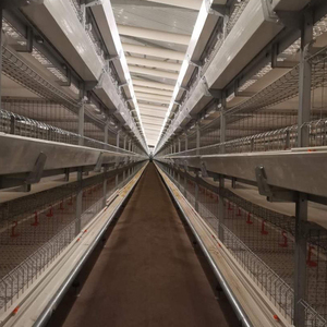Equipo automático de cría de aves de corral PUHUI para cría de pollos Nueva condición Material de acero inoxidable y PP Garantía de 3 años - Product Image 1