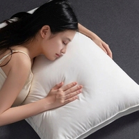 Oreiller de luxe pour hôtel cinq étoiles, garnissage en duvet de plumes d'oie, lavable, soutien ergonomique du cou pour le sommeil