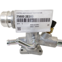 Ensemble de contrôle de la température du liquide de refroidissement 256002E500 Thermostat - Neuf Compatible Pompe à eau Garantie 1 an
