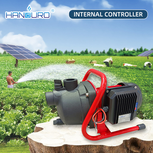 HANDURO Agriculture Petite <span class=keywords><strong>pompe</strong></span> à eau de jardin à énergie solaire 100W Dc avec contrôleur intégré - Product Image 4